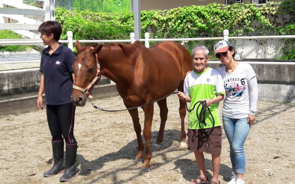 a group of people standing next to a horse