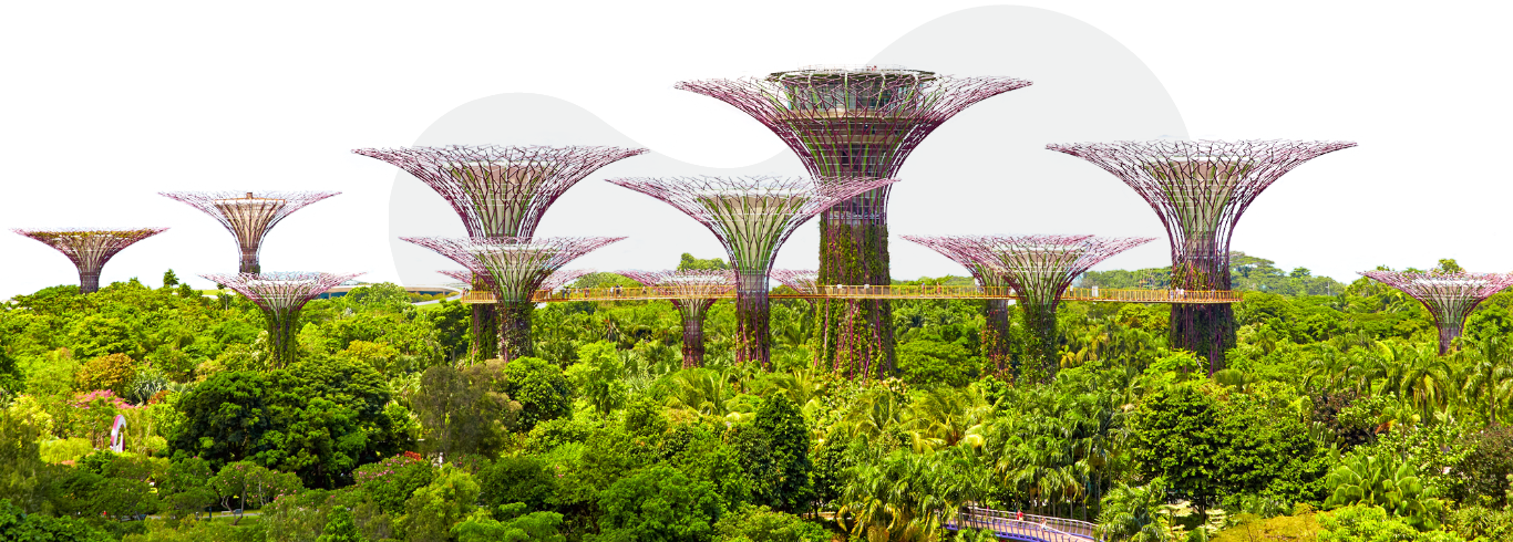 Garden by the bay