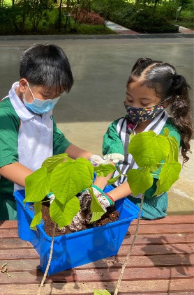 Children planting a plant