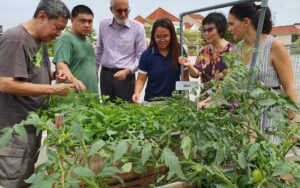 Group examining flora in a garden setting.