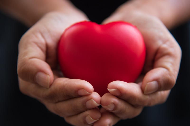 hands holding a heart